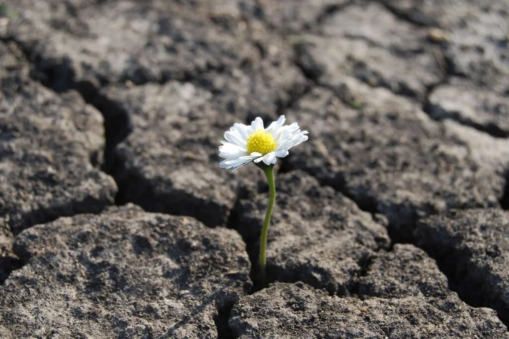 Neuropsicología en Valencia: atención especializada con la Dra. Dora Ines Estrada Estrada